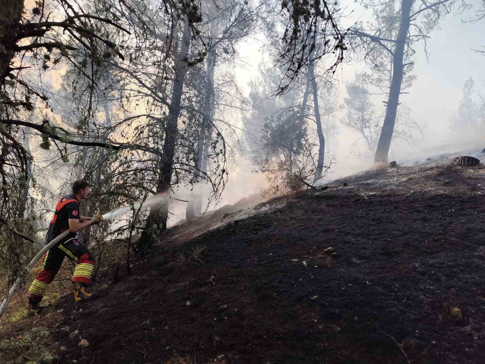 Dursunbey’de orman yangını