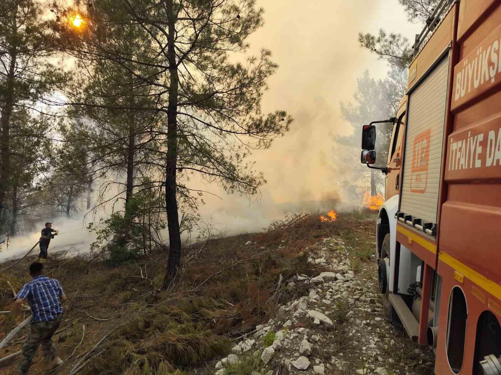 Dursunbey&rsquo;de orman yangını
