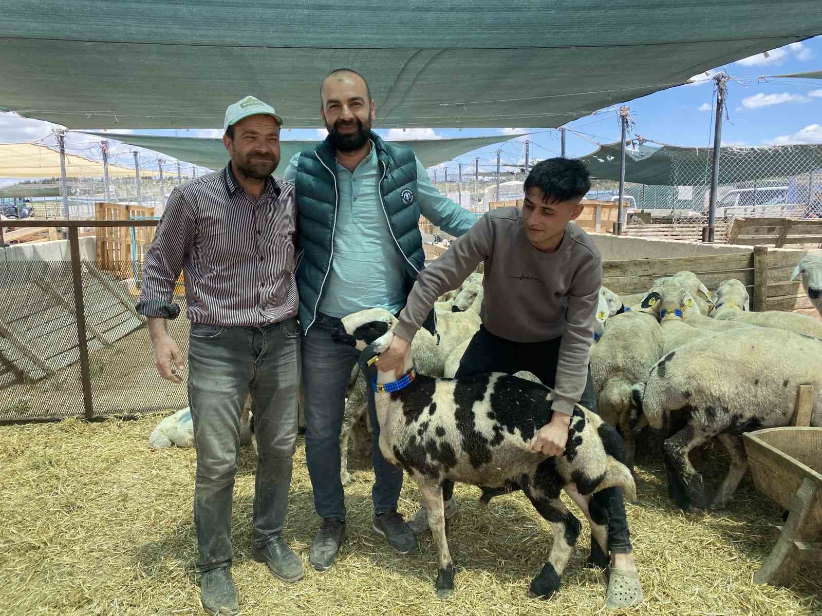 Konya&rsquo;da kurban satıcıları yarını bekliyor
