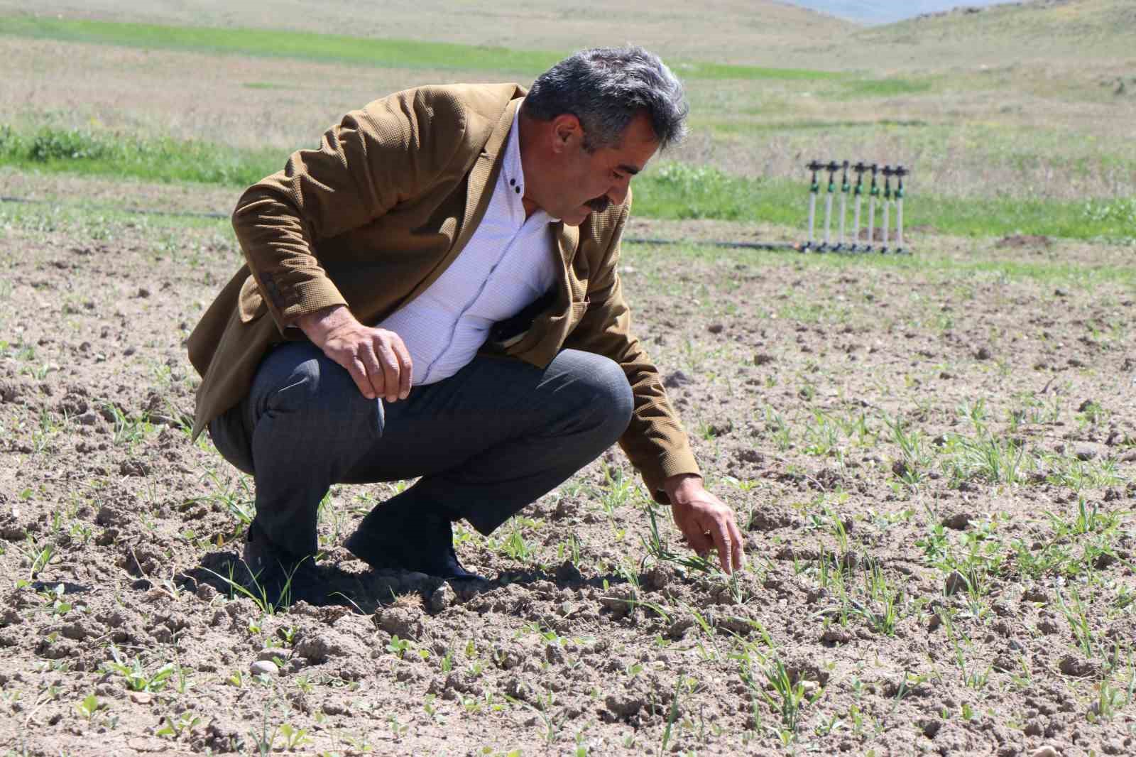 Ağrı Diyadin’de üretim seferberliği