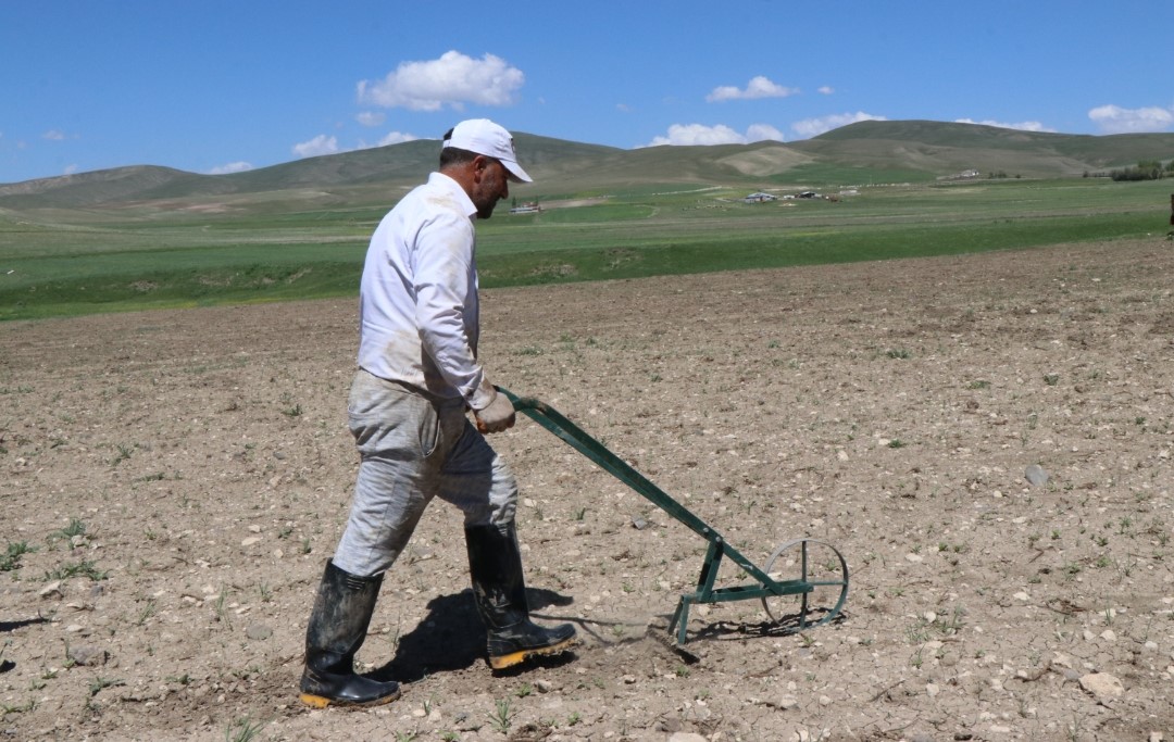 Ağrı Diyadin&rsquo;de &uuml;retim seferberliği
