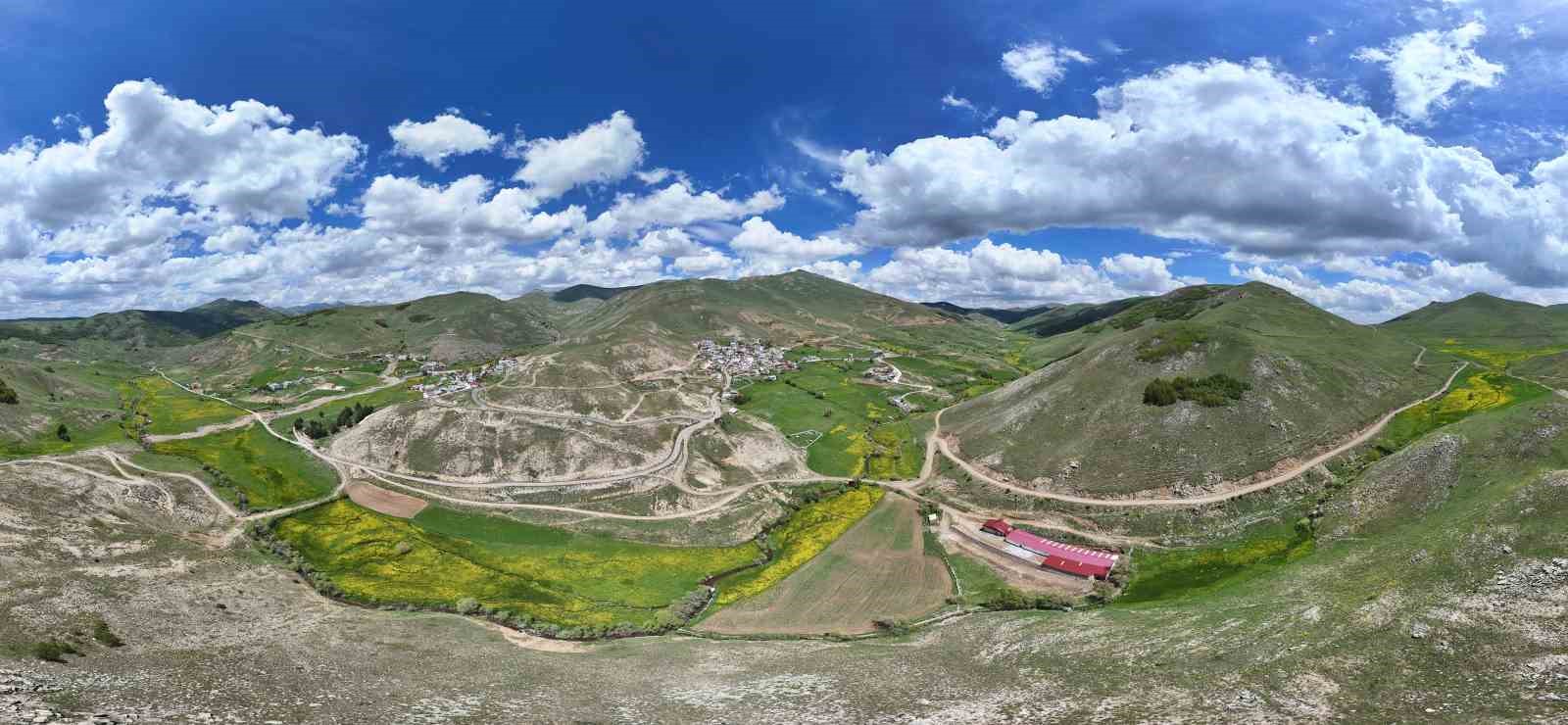 Gümüşhane’de Sarıçiçek Vadisi’nde mest eden görüntüler