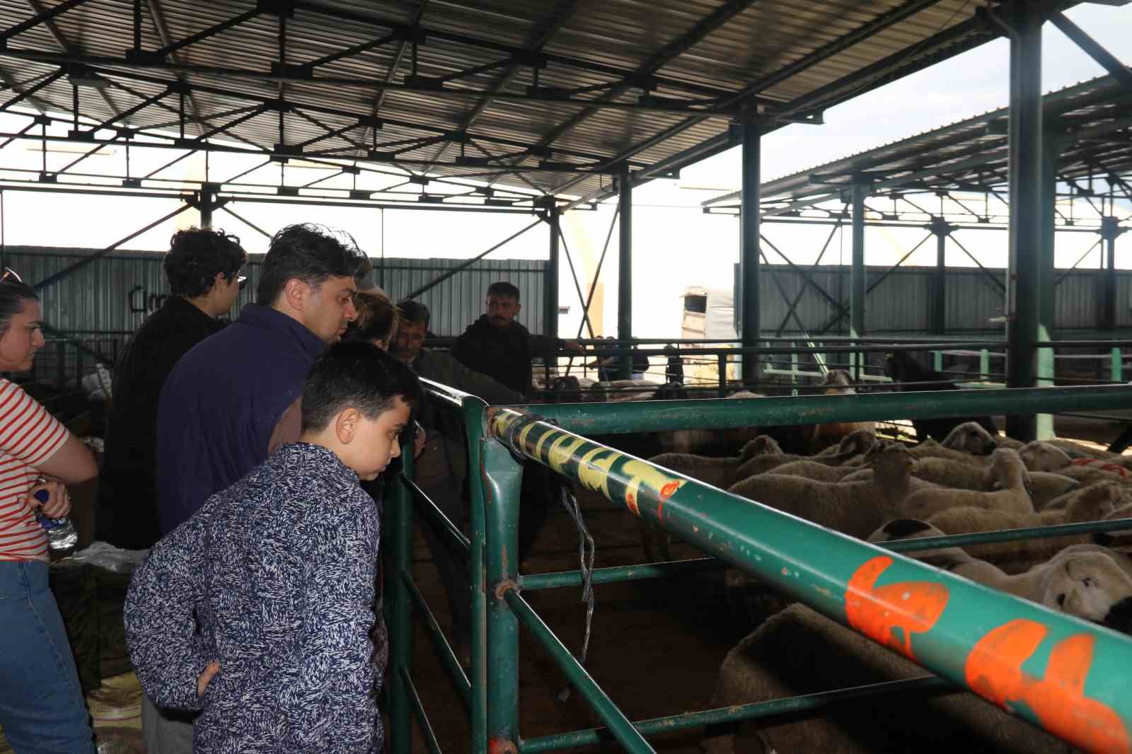 (ÖZEL) Pazarlıklar kızıştı, kimisi "çok uygun" dedi kimisi "kuru kalabalık" dedi