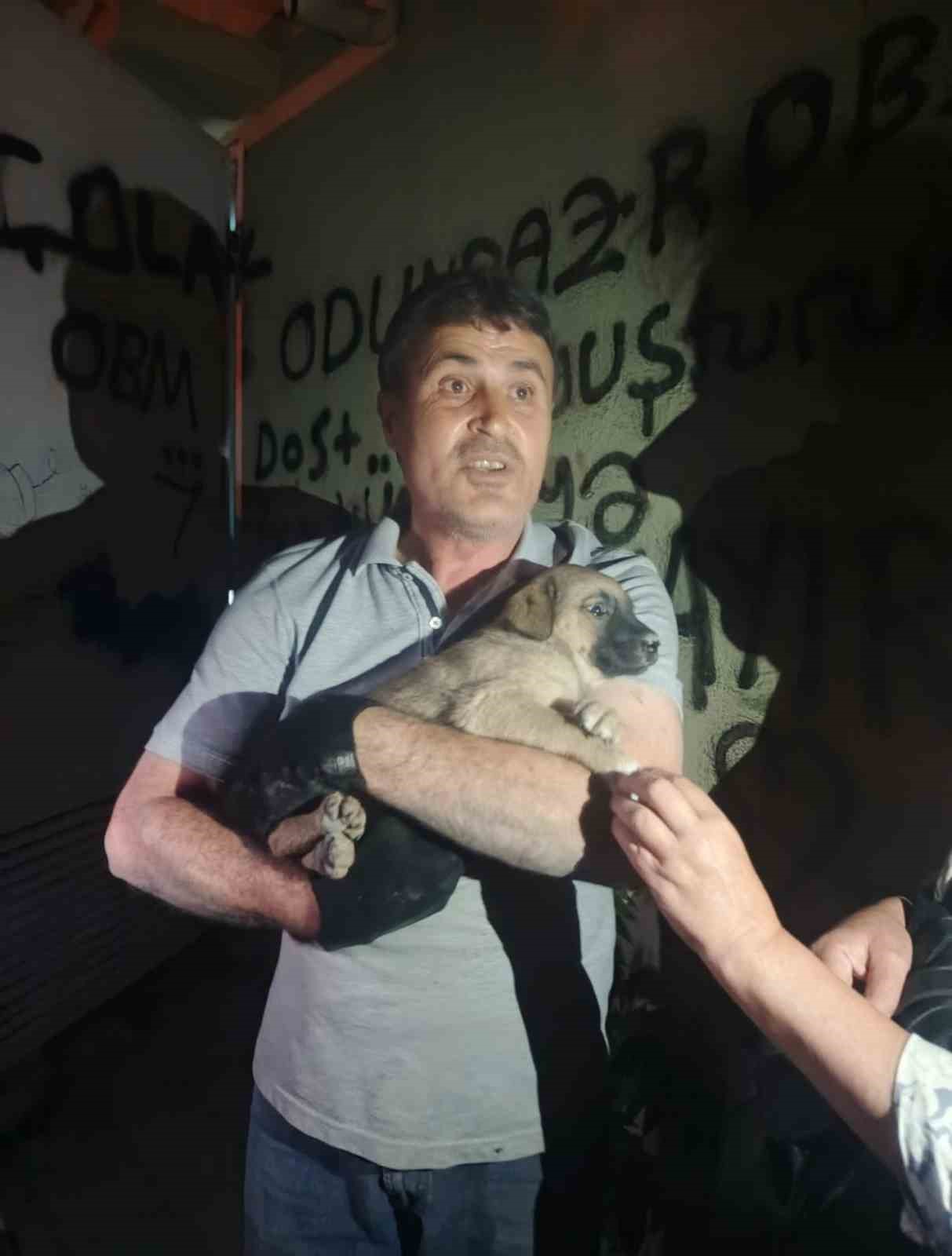 OEDAŞ trafoda mahsur kalan yavru köpeğe duyarsız kalmadı