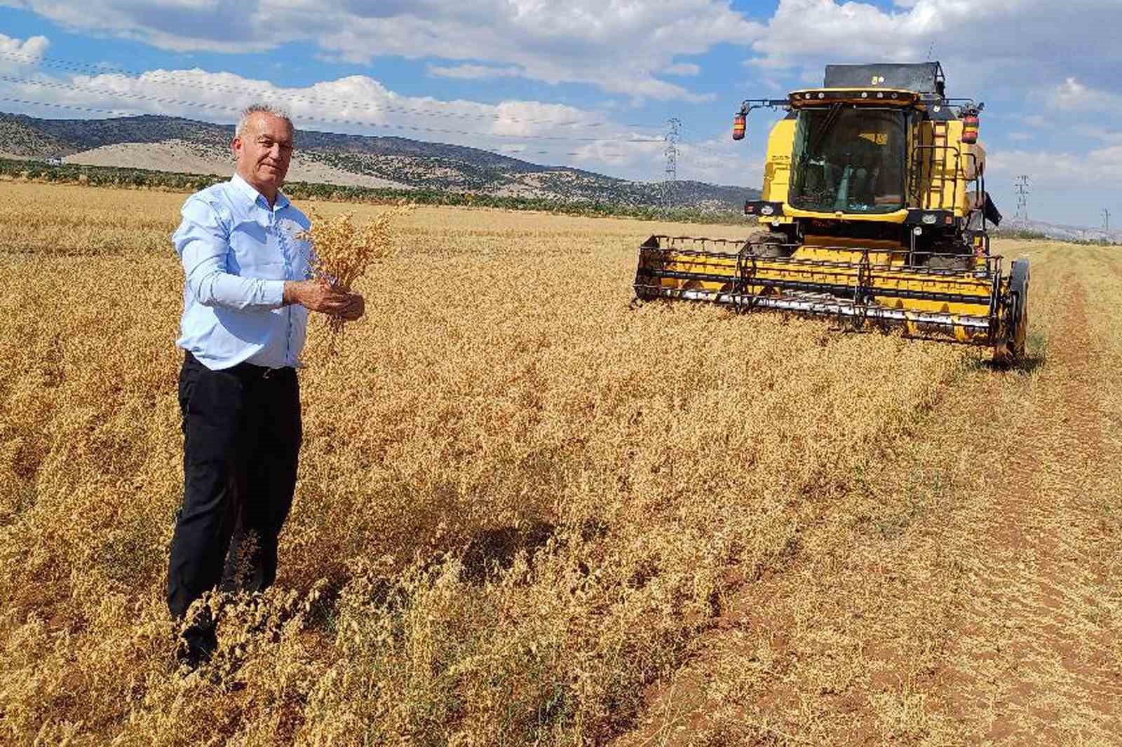 Araban Ovası’nda 2025 yılı nohut hasadı başladı