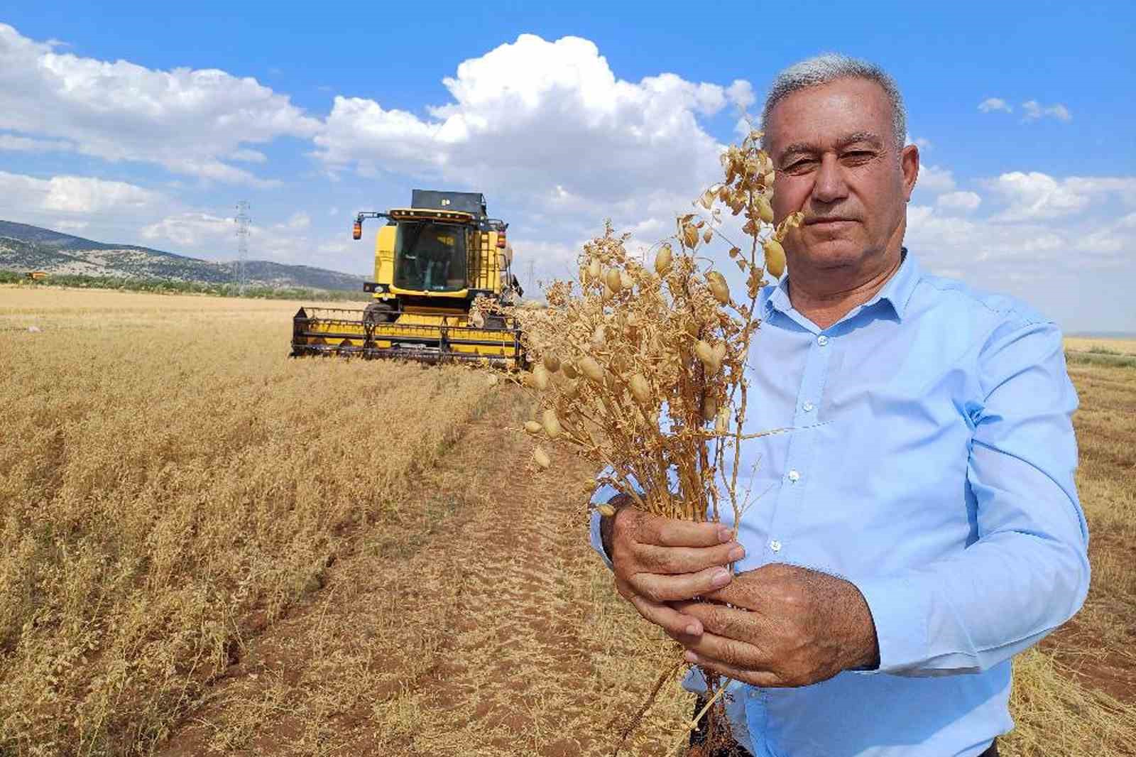 Araban Ovası&rsquo;nda 2025 yılı nohut hasadı başladı
