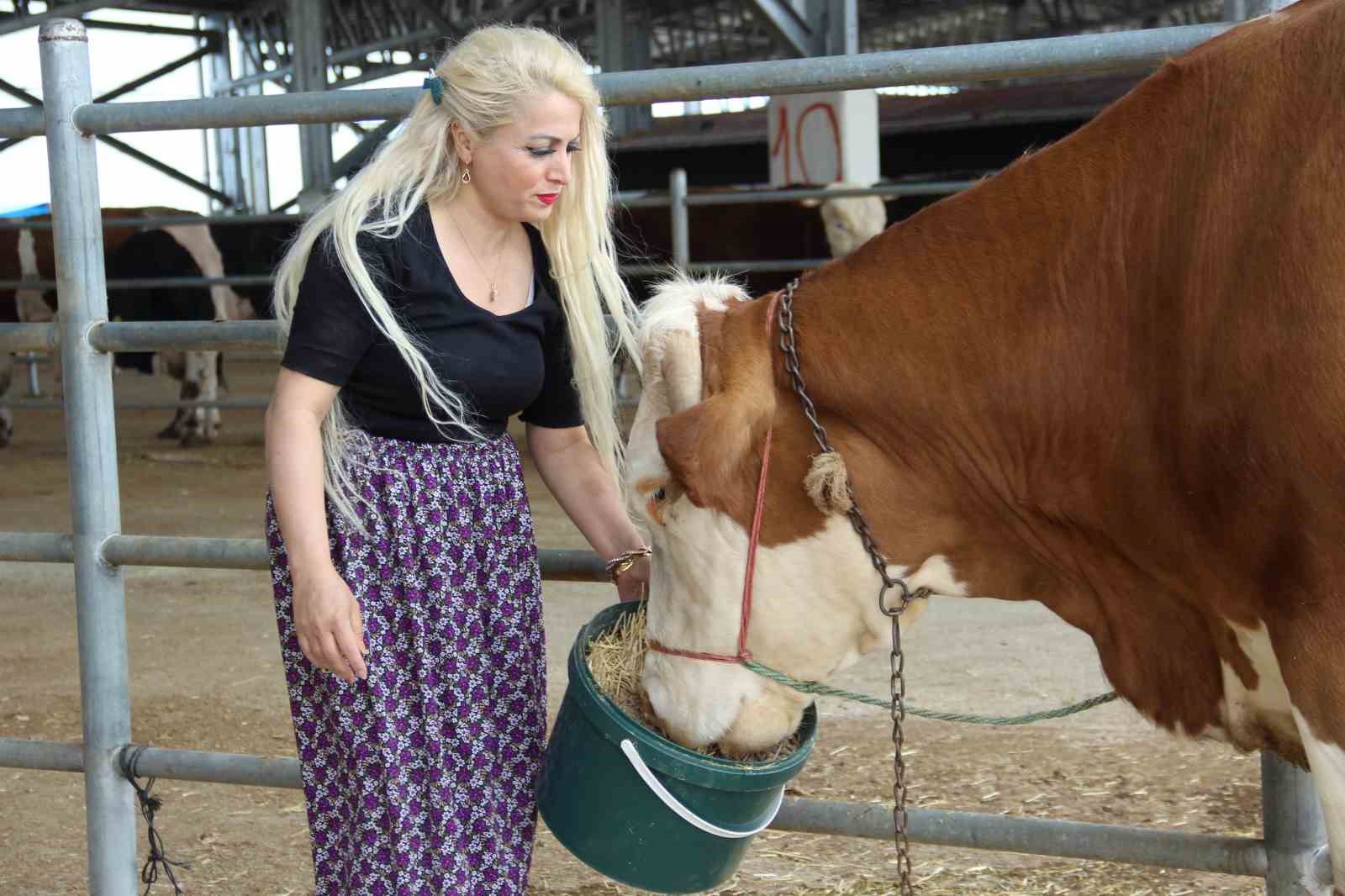 Hayvan pazarında kadın gücü: Ailesi için mücadele ediyor