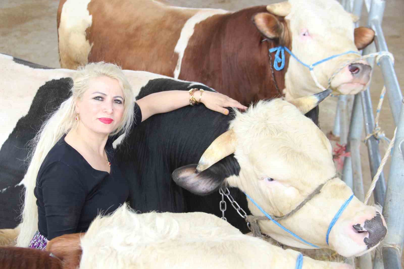 Hayvan pazarında kadın gücü: Ailesi için mücadele ediyor
