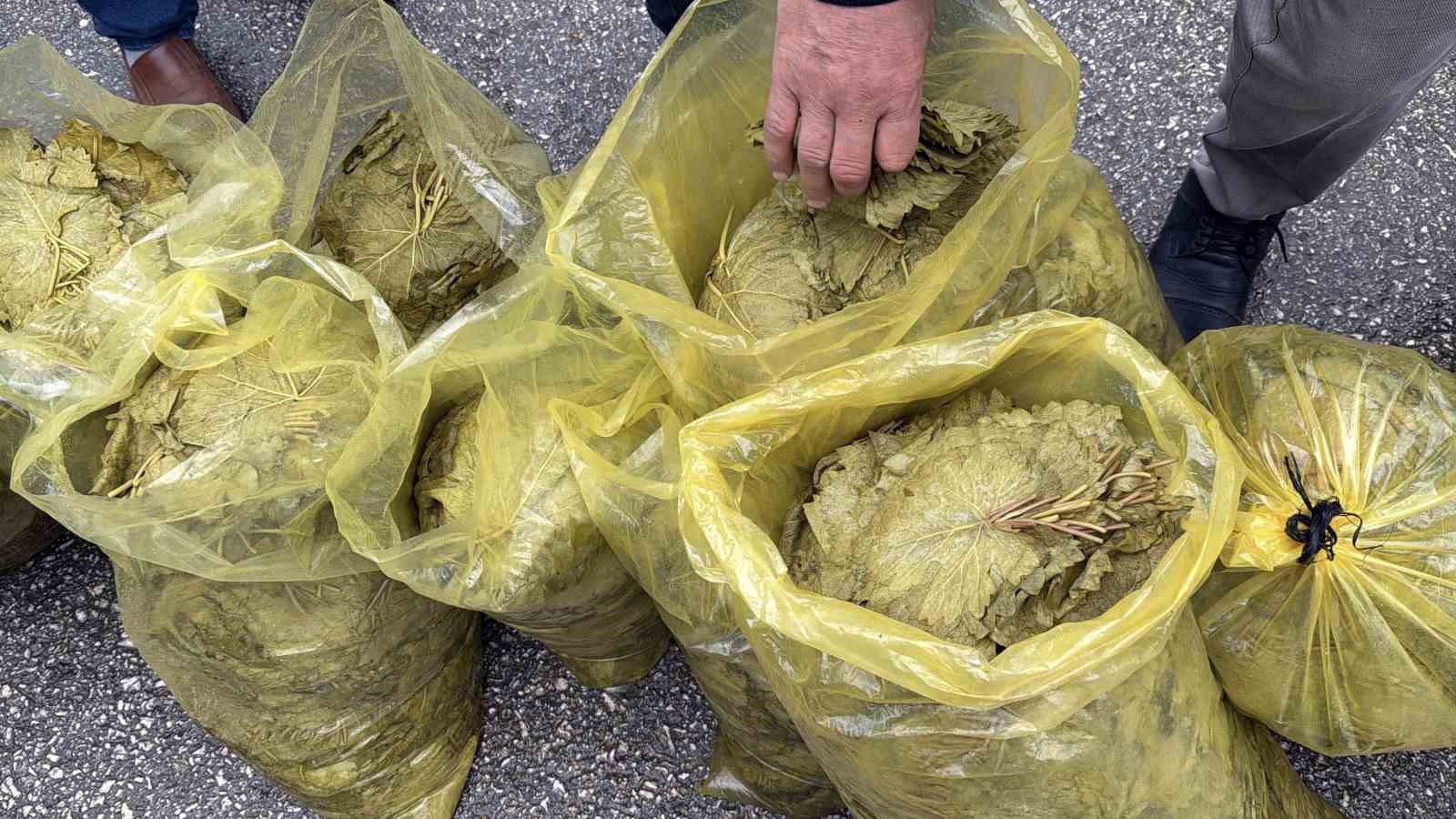 Dona rağmen Narince yaprağı pazardaki yerini aldı
