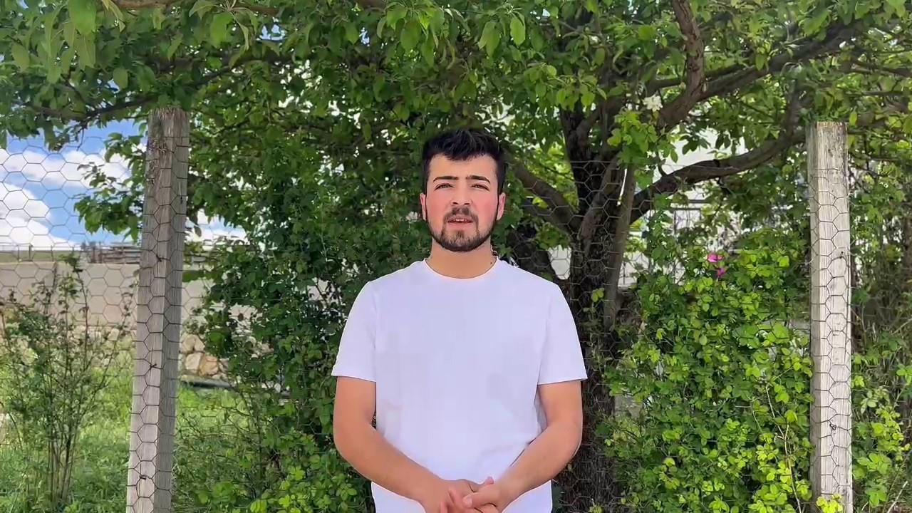 Yılkı atları doğada dans etti, o anlar cep telefonu kamerasına yansıdı