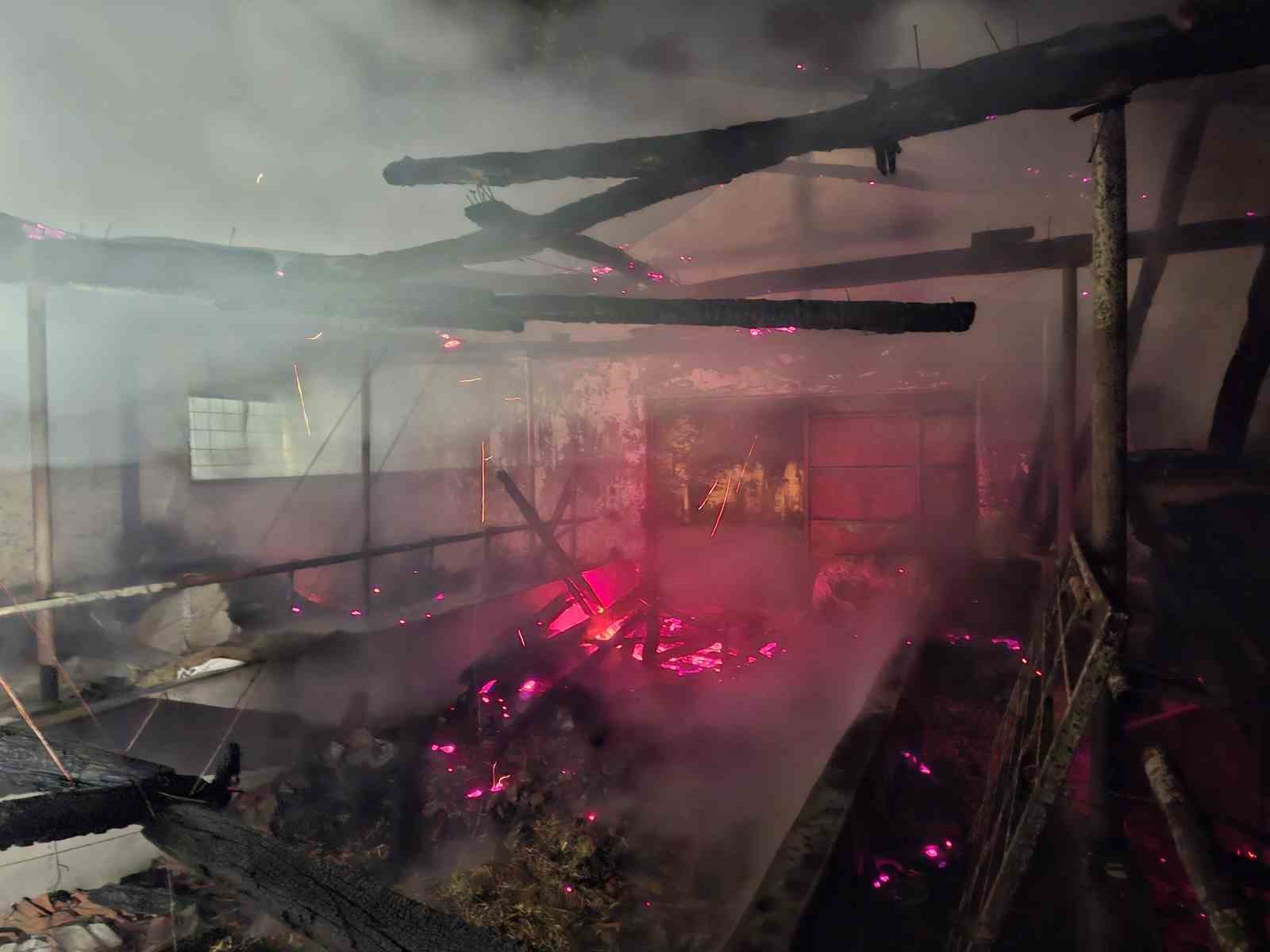 Bayram &ouml;ncesi felaket: Ahırda &ccedil;ıkan yangın, satışı yapılan 16 b&uuml;y&uuml;kbaşı telef etti
