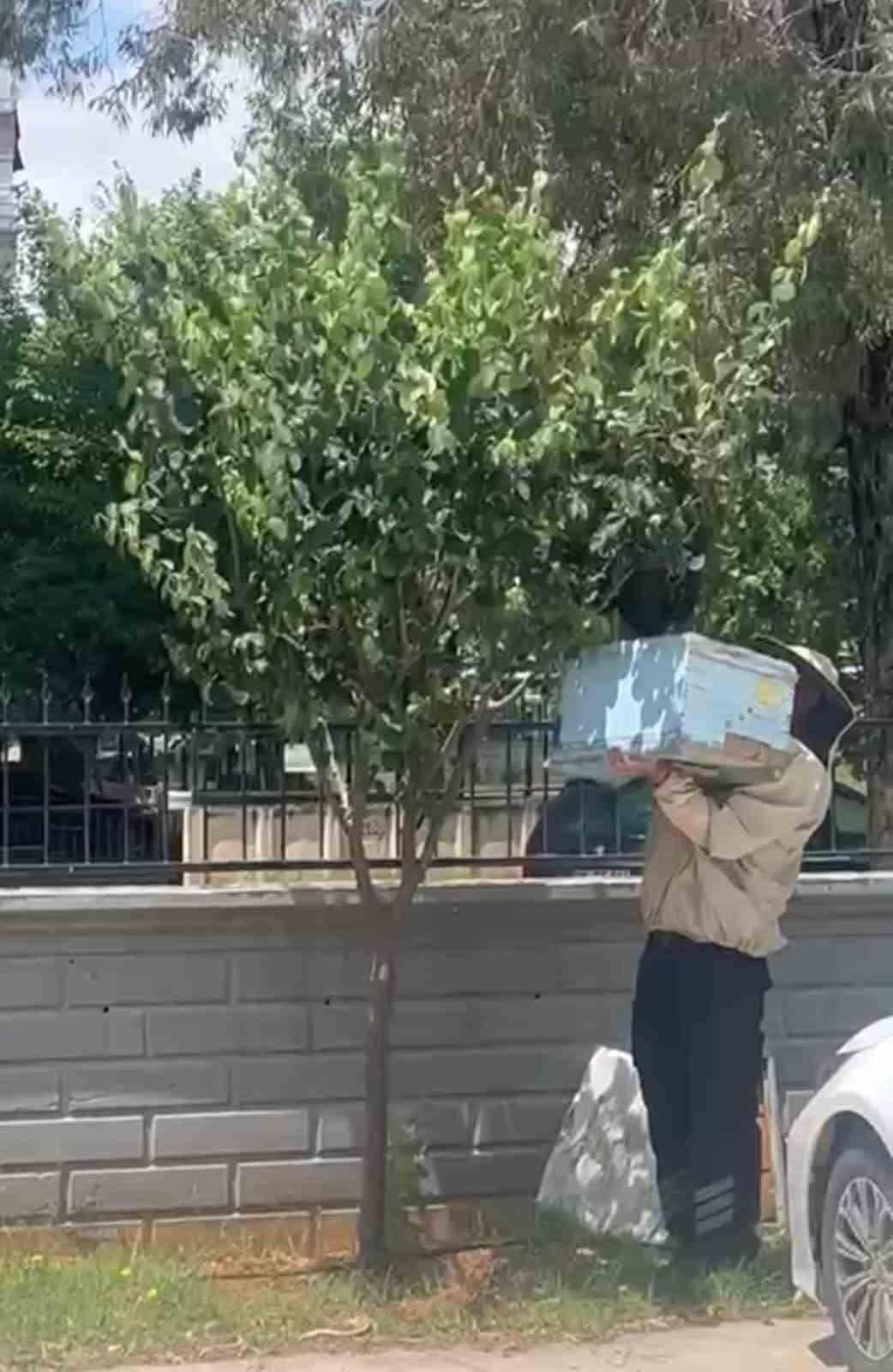 Güvenlik görevlisi oğul veren arıları kovana aldı