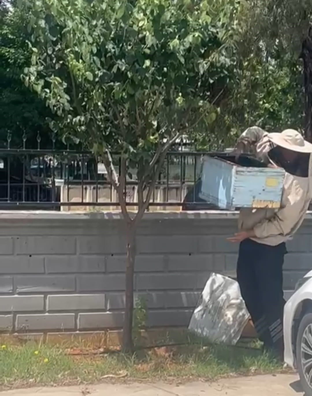 Güvenlik görevlisi oğul veren arıları kovana aldı
