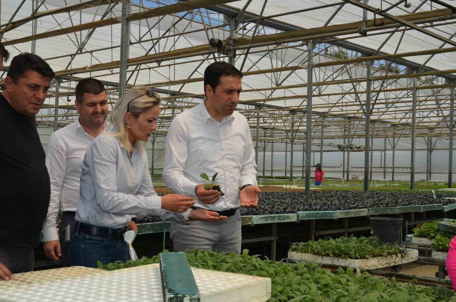 Bilecik’te "Enginar Fide" projesi