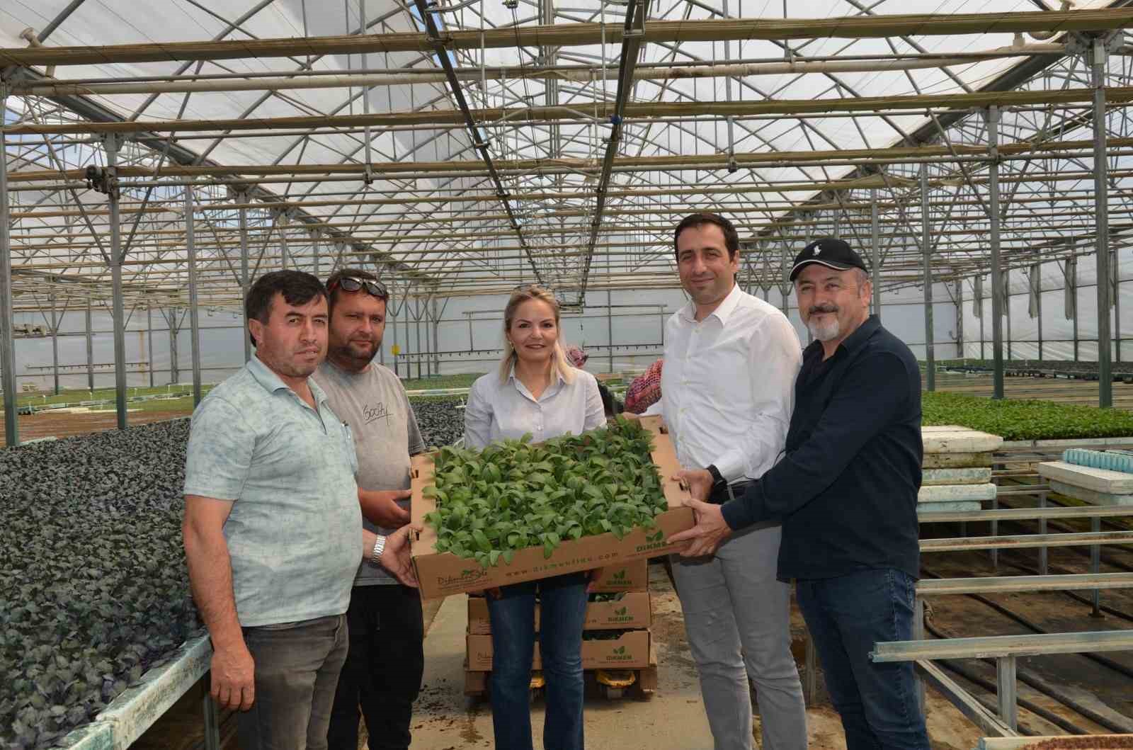 Bilecik&rsquo;te "Enginar Fide" projesi
