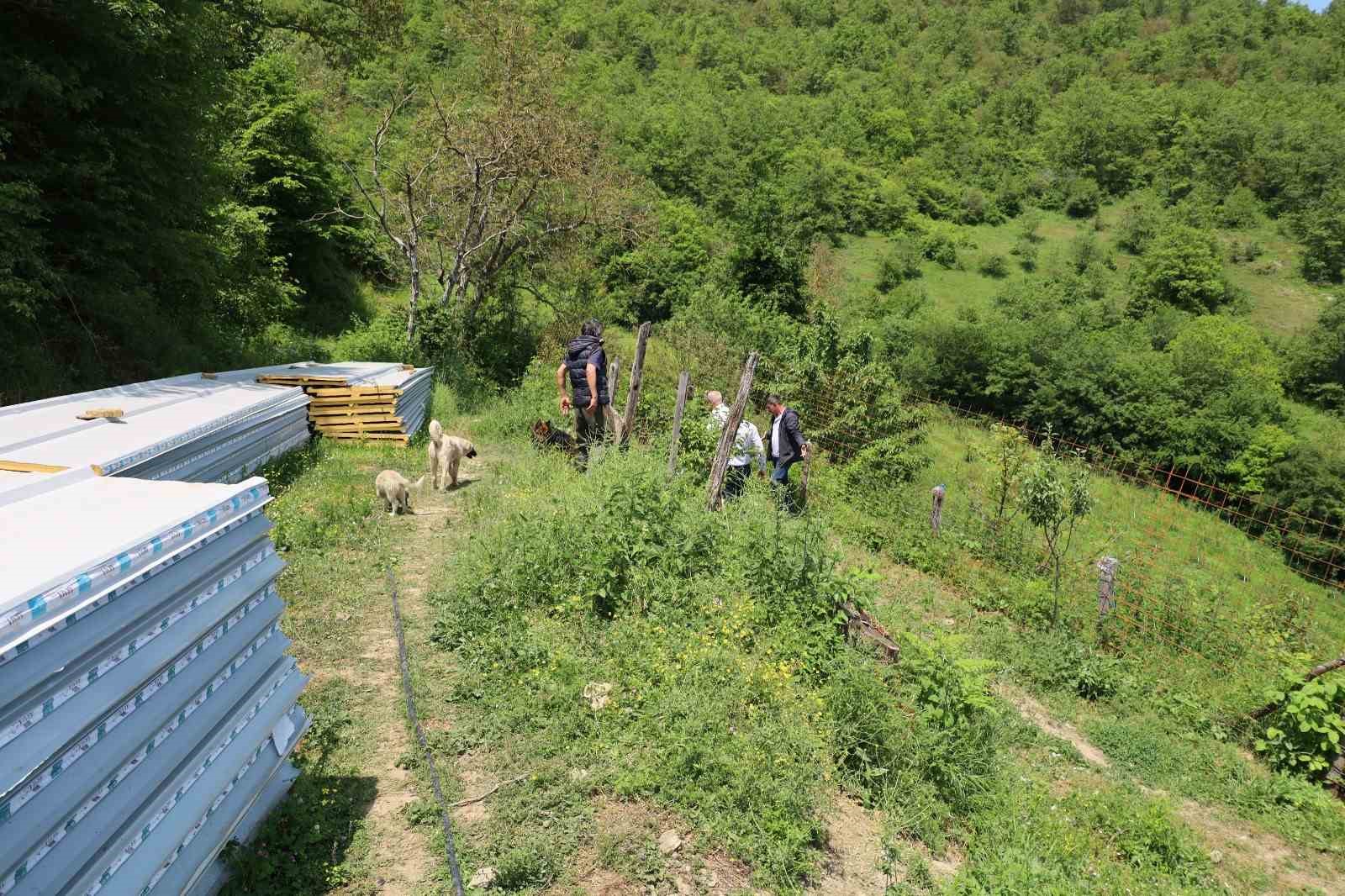 15 mahalle muhtarından izinsiz oluşturulan köpek barınağına sert tepki