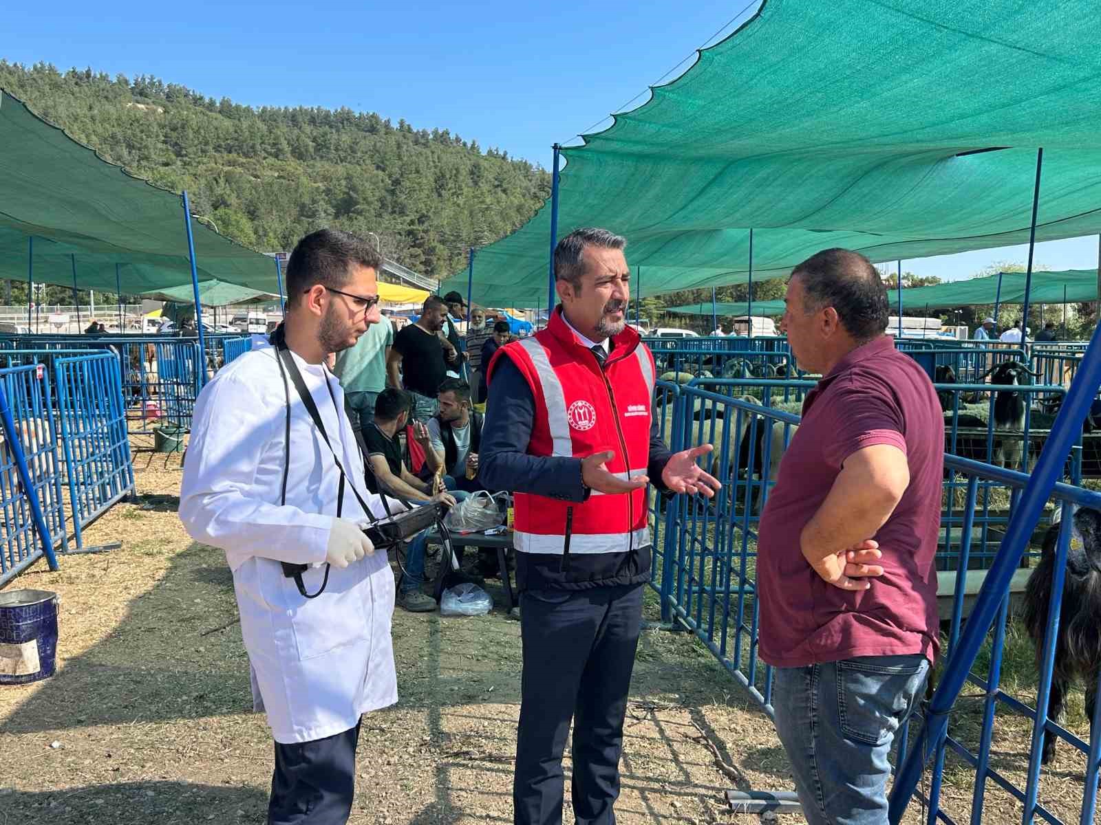 Bilecik’te kurban satış pazarında hayvanlara gebelik testi yapılıyor
