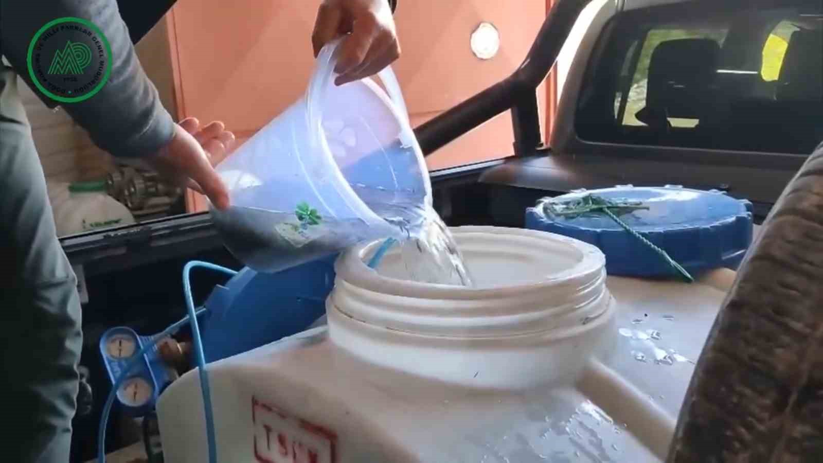 Yüzlerce alabalık derelere salındı
