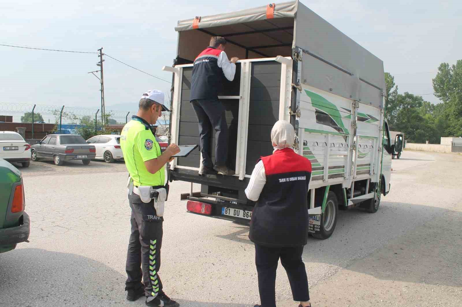 Hayvan pazarında sıkı denetim