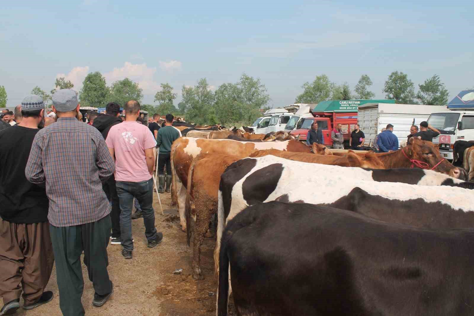 Hayvan pazarında sıkı denetim