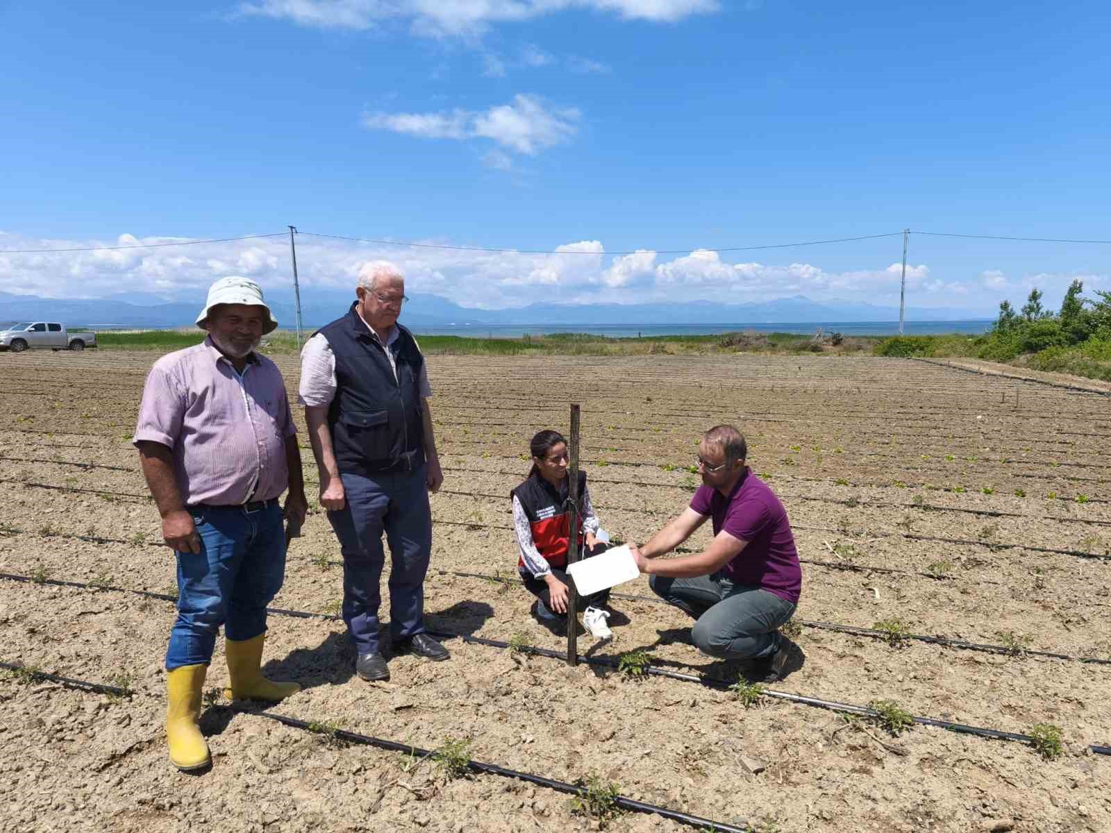 Beyşehir’de domates güvesi ile mücadele başladı