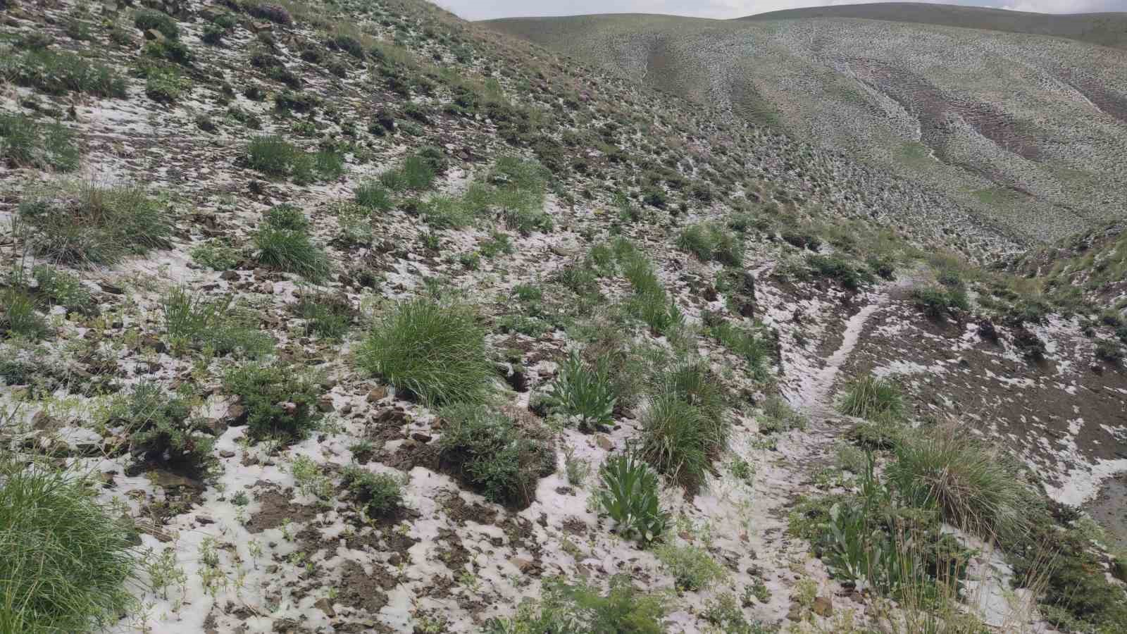 Haziran ayında kar sürprizi: Erek Dağı’nın etekleri beyaza büründü
