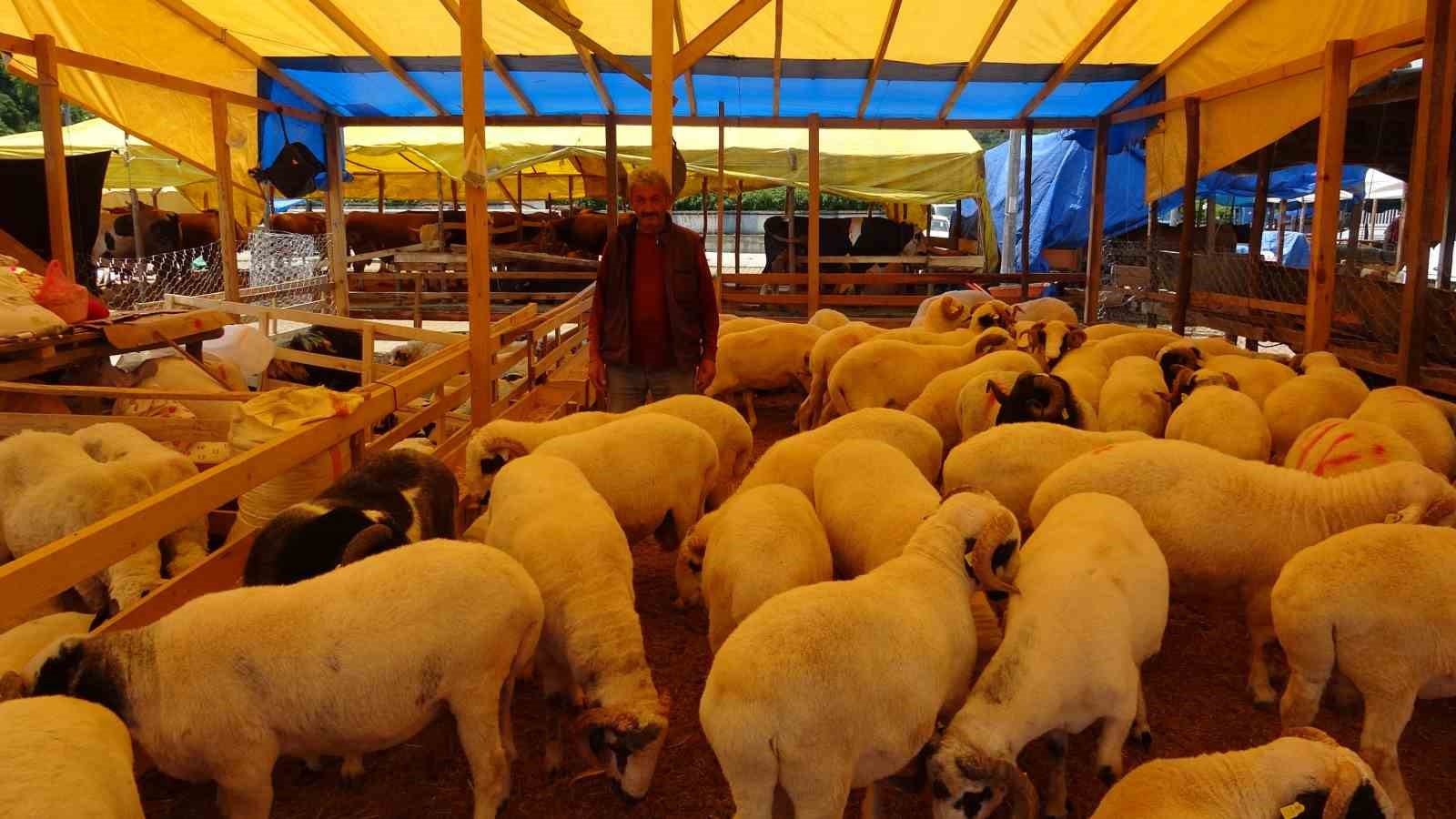 Samsun&rsquo;da kurban pazarında y&uuml;zler g&uuml;l&uuml;yor: Hayvanlar elde kalmadı
