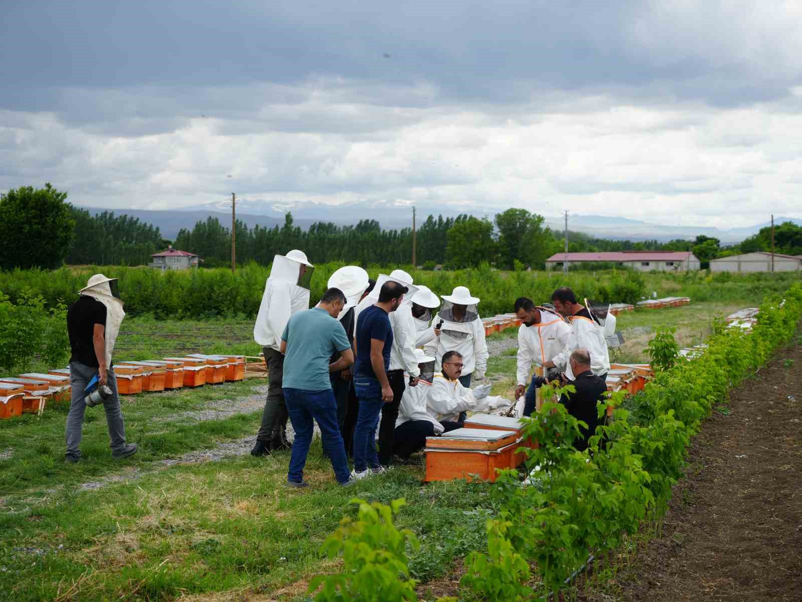 Iğdır’da arı kovanı dağıtım töreni düzenlendi