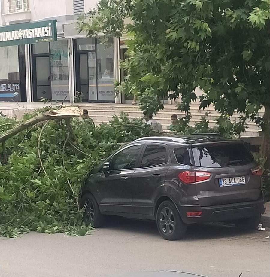 Batman’da şiddetli rüzgarın devirdiği ağaç park halindeki aracın üzerine düştü

