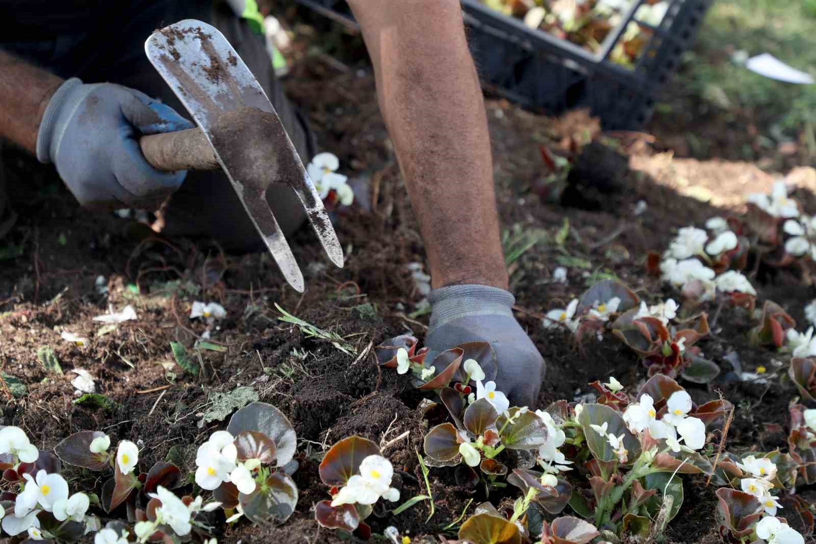 Sakarya bayrama &ccedil;i&ccedil;eklerle hazırlandı
