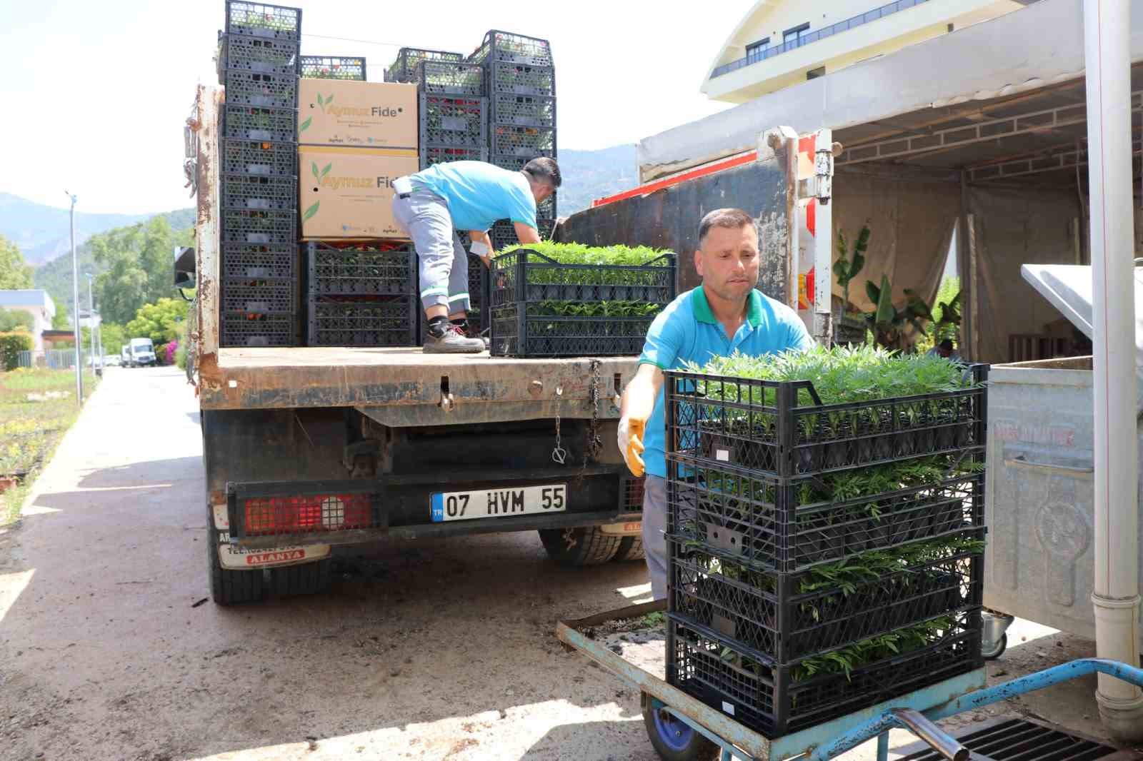 Alanya Belediyesi arife g&uuml;n&uuml; mezarlıklarda &ccedil;i&ccedil;ek dağıtacak
