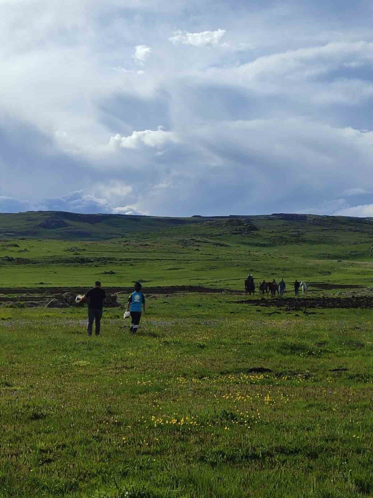 Kars&rsquo;ta yaylada kayalıktan d&uuml;şen &ccedil;oban yaralandı
