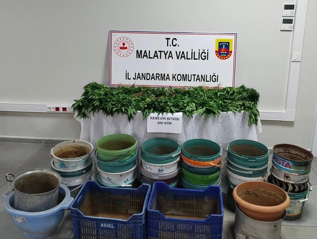 Malatya&rsquo;da jandarmadan uyuşturucu operasyonu: 6 g&ouml;zaltı
