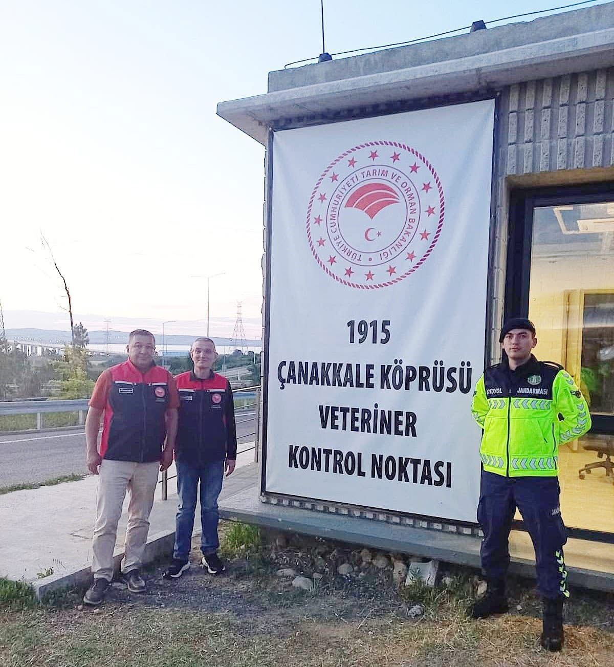 1915 Çanakkale Köprüsü’nde kurbanlık hayvan denetimi