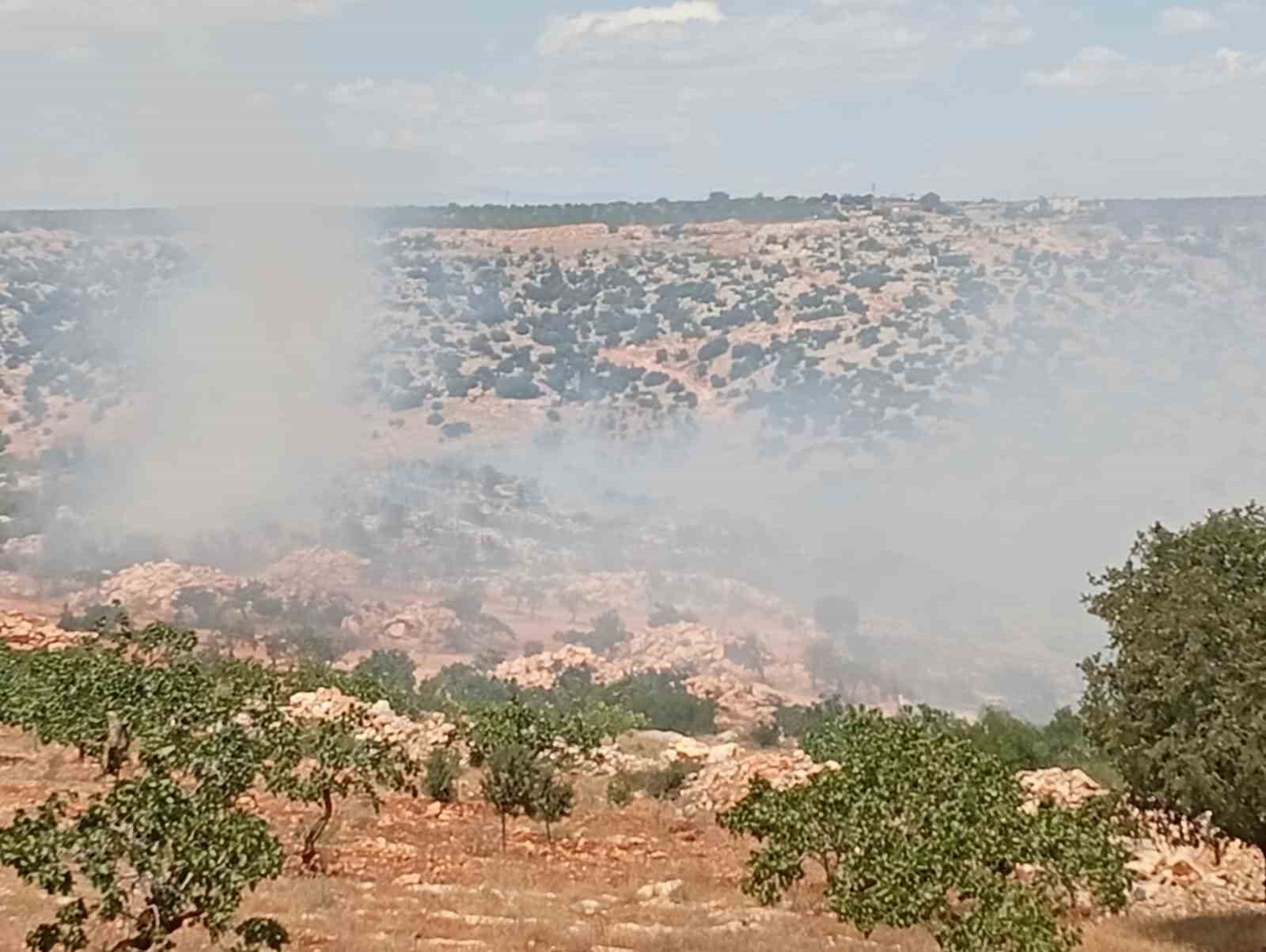 Gaziantep’te fıstık ve zeytin bahçelerinde yangın