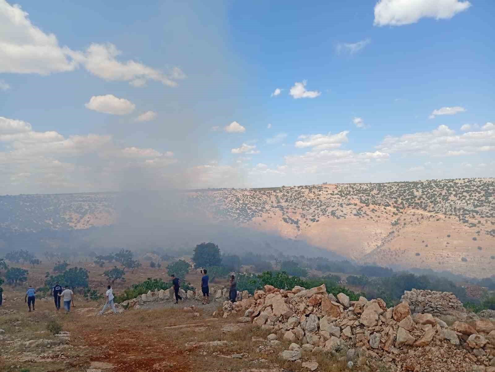Gaziantep’te fıstık ve zeytin bahçelerinde yangın