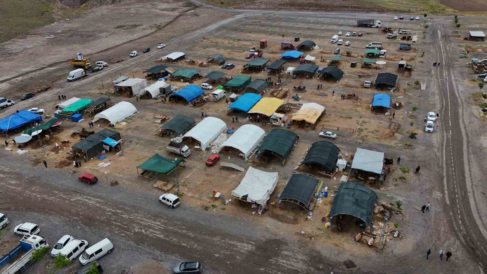 970 kiloluk Minik, pazarın ilgi odağı oldu
