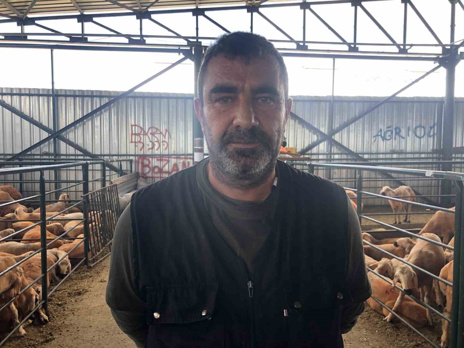 (ÖZEL) Turuncu renkli Sivas Kangal kuzuları hem renkleri hem de lezzetleriyle dikkat çekiyor