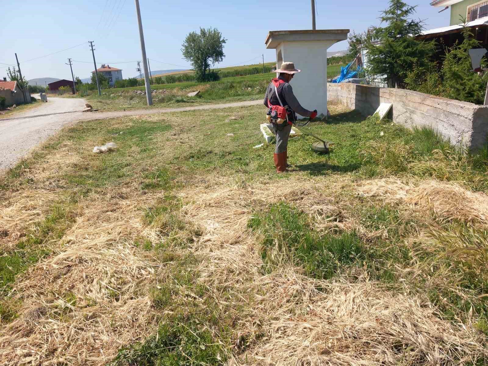 Yarımca köyü yabancı otlardan temizleniyor

