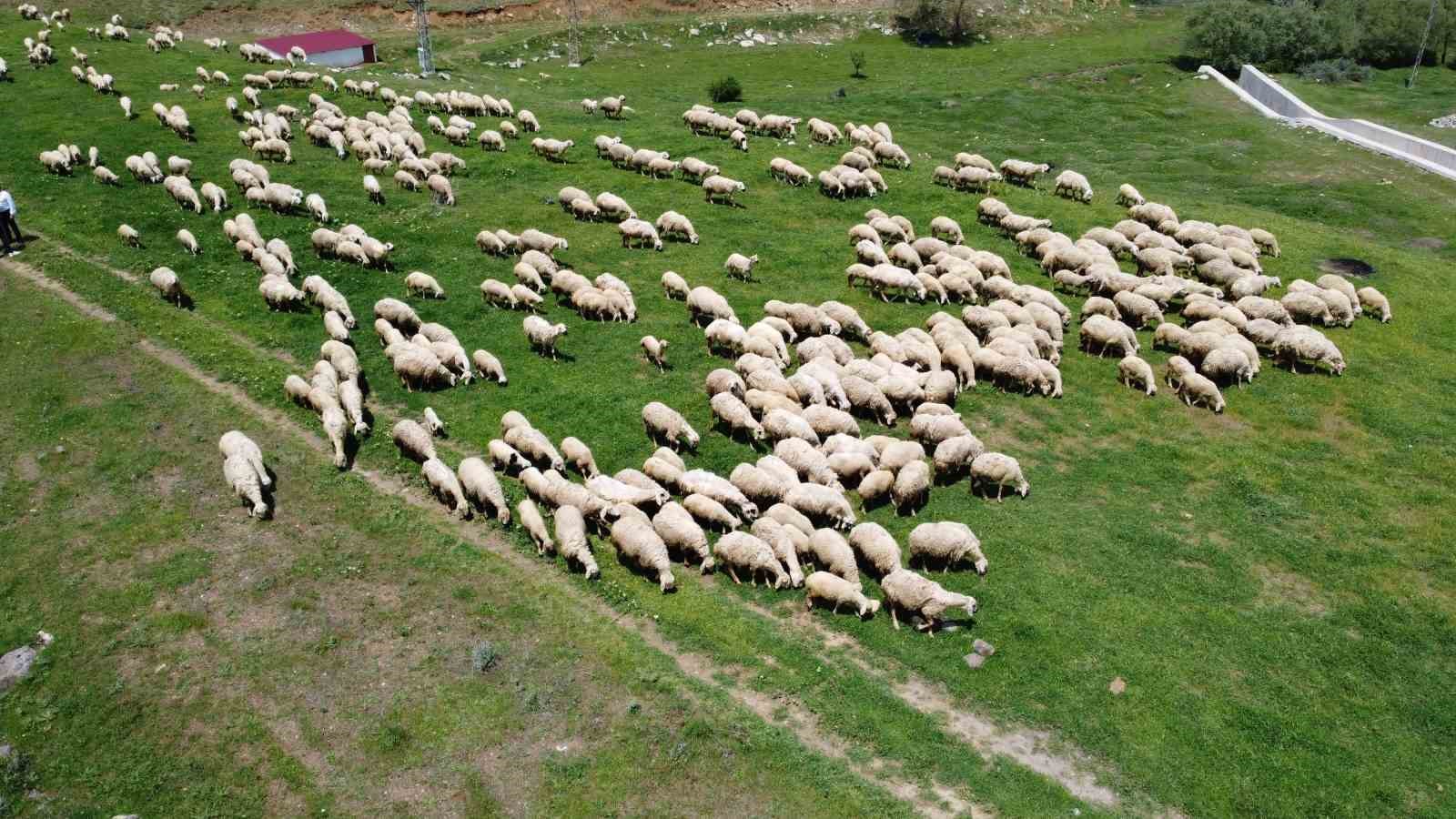 Uzmanı uyardı, "Günde 100-150 gramın üzerinde et tüketmeyin"
