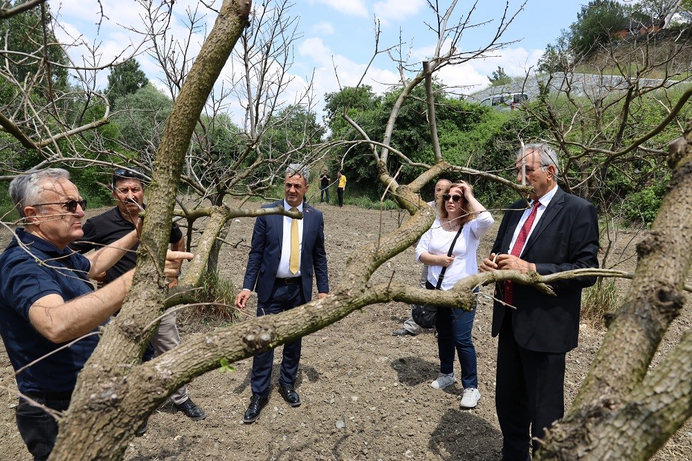 Bilecik’te meyve bahçelerinde don zararına karşı eğitim düzenlendi