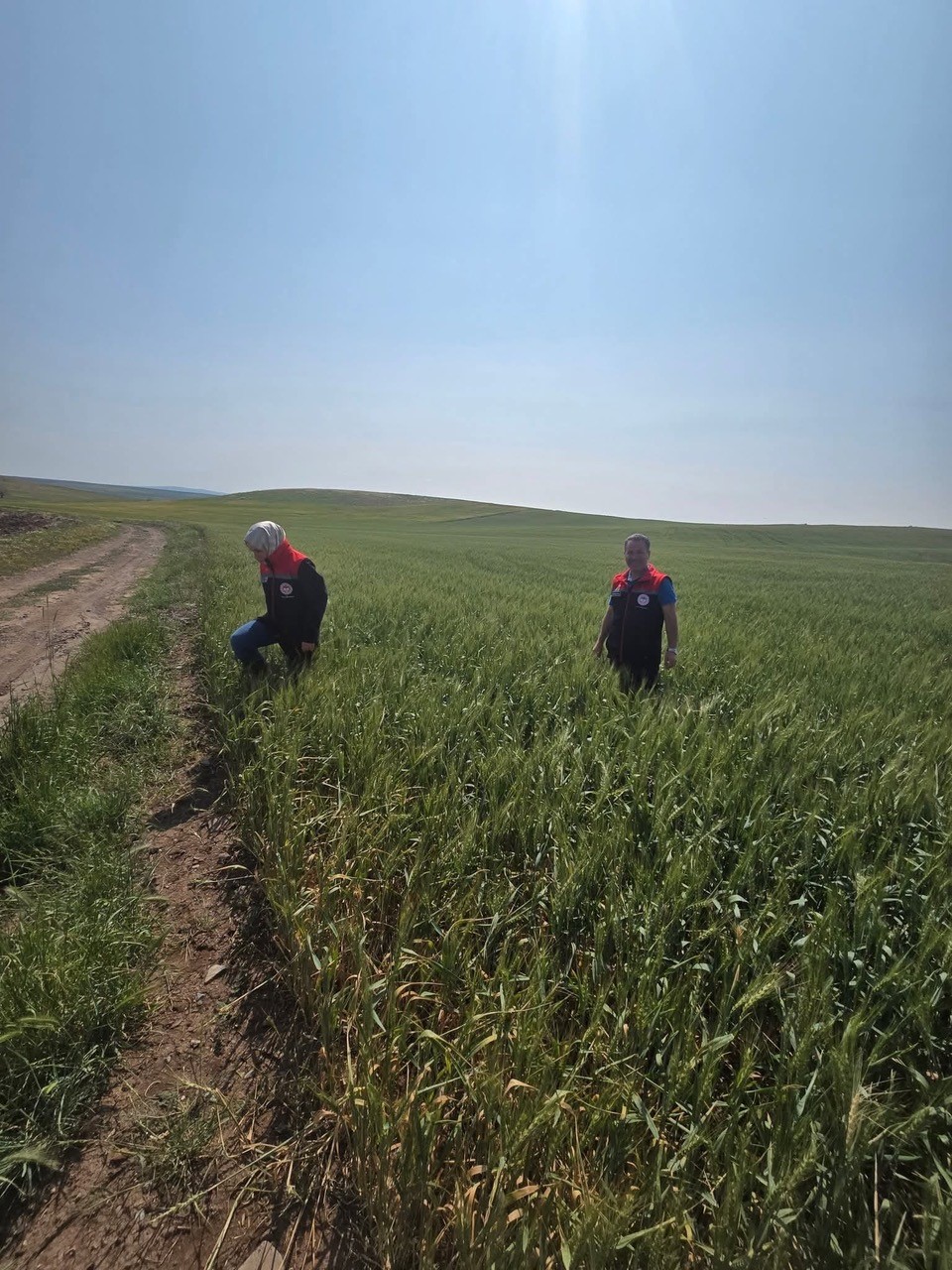 Kulu&rsquo;da s&uuml;ne zararlısıyla m&uuml;cadele &ccedil;alışmaları
