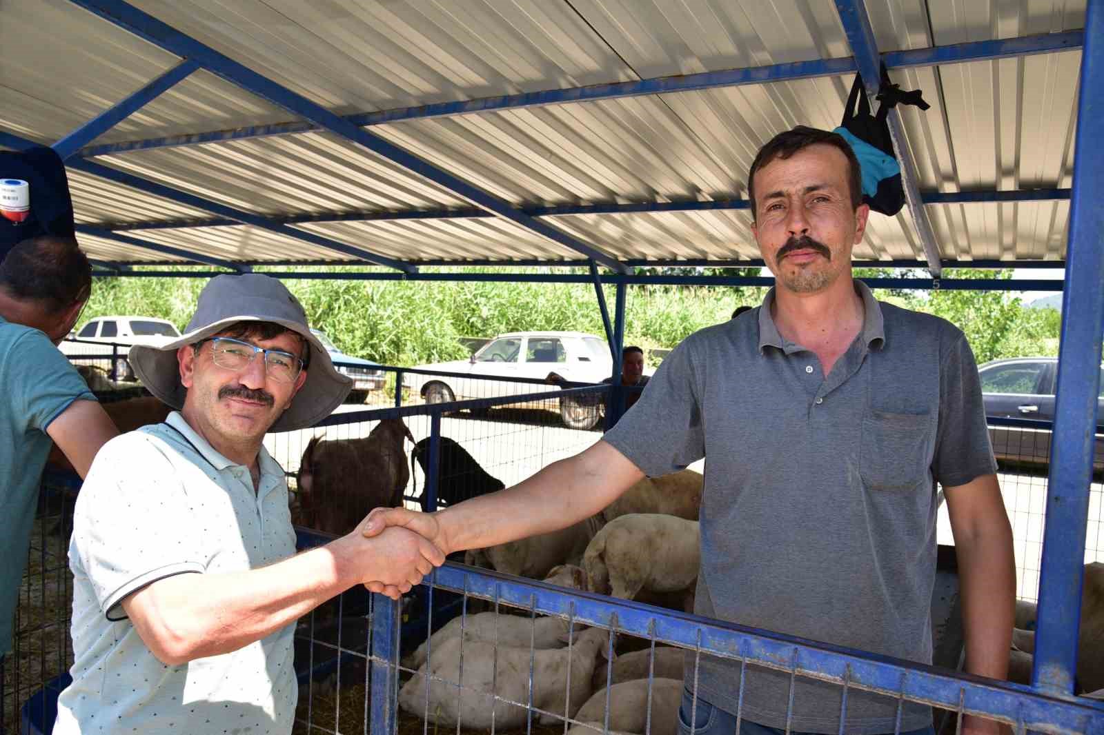 Sındırgı kurban pazarında arefe yoğunluğu yaşandı