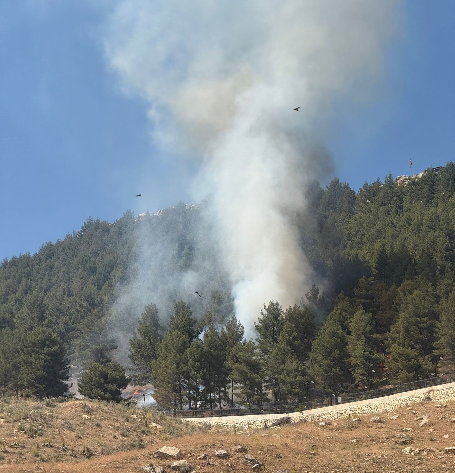 Ormanlık alanda çıkan yangın korkuttu