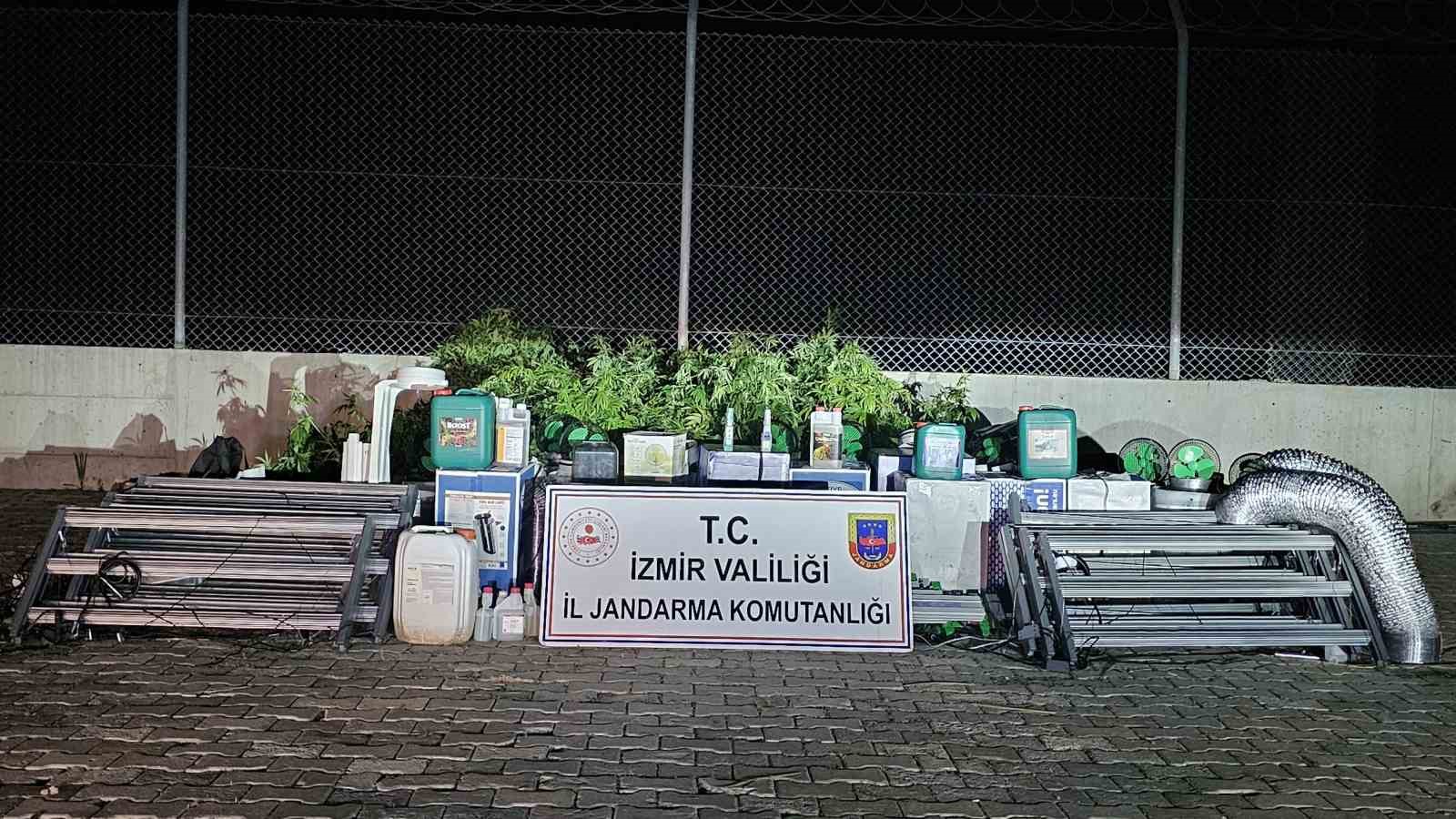 İzmir’de ’skunk’ operasyonu: 183 kök ele geçirildi