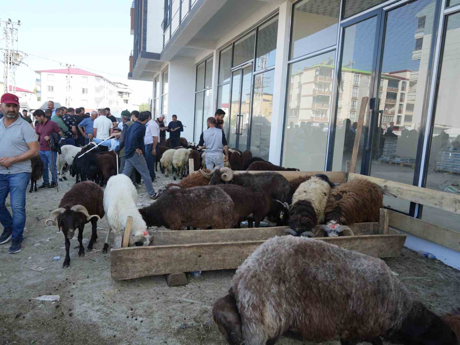 Iğdır’da bayrama 1 gün kala kurbanlık telaşı havadan görüntülendi