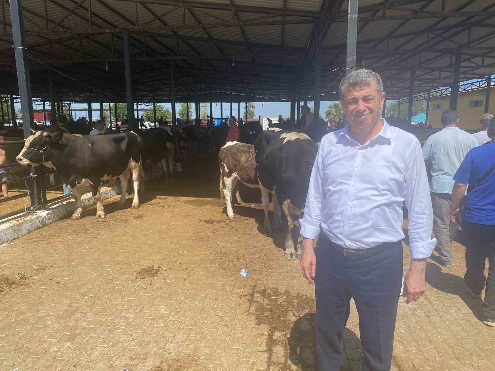 Başkan Künkcü hayvan pazarına indi