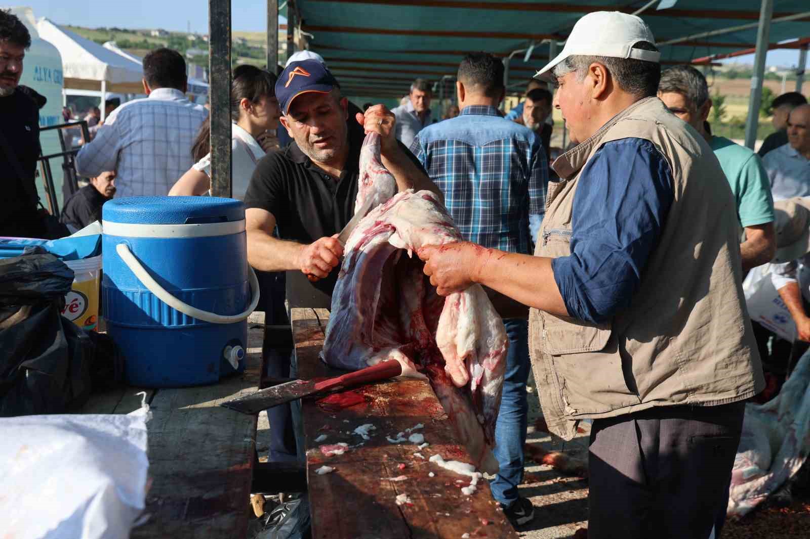 Elazığ’da bayram namazını kılan vatandaşlar, kurbanlarını kesti
