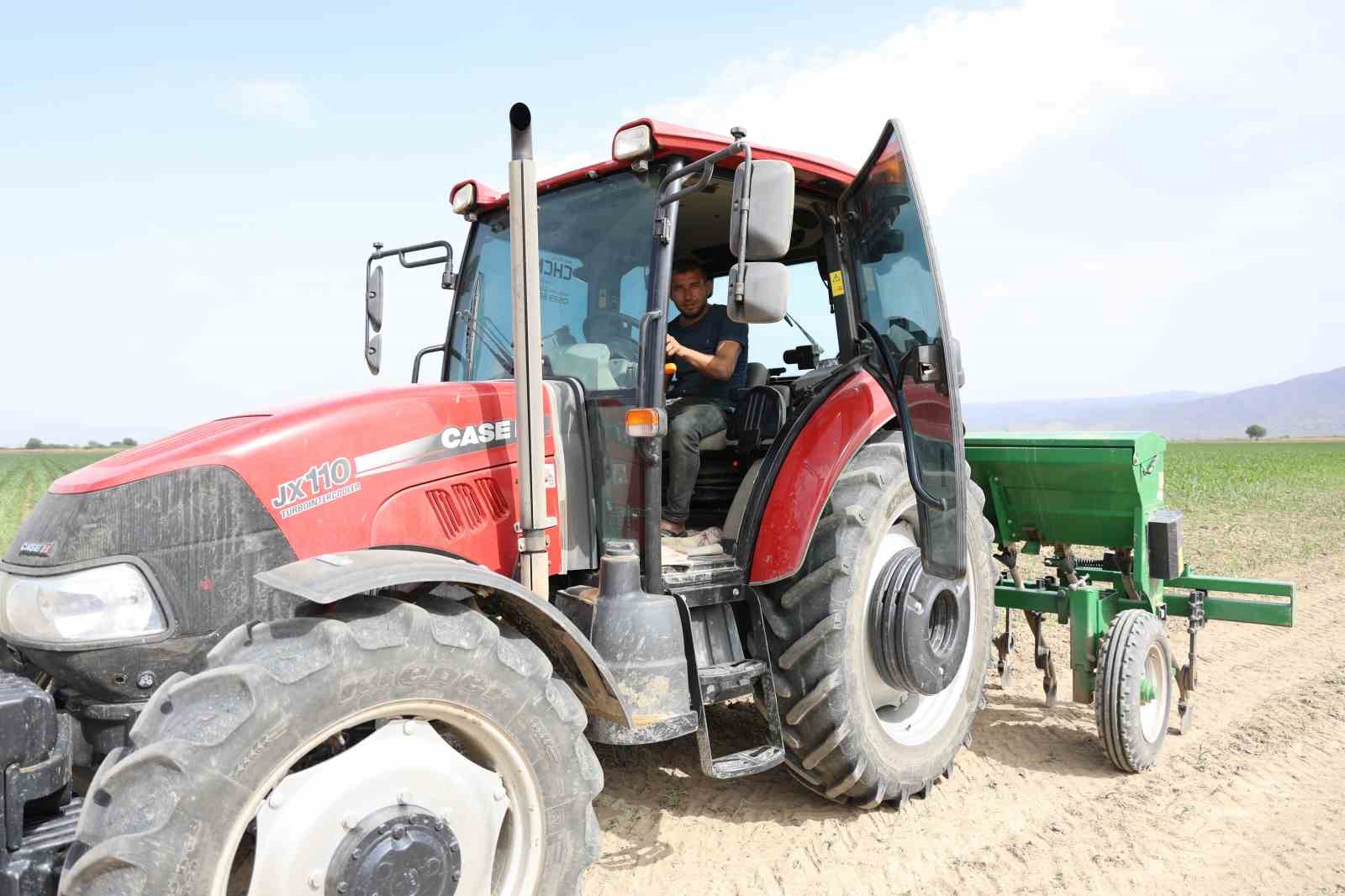 Pamuk üretim merkezi Büyük Menderes Ovası’nda kuraklık nedeniyle üretici mısıra yöneldi