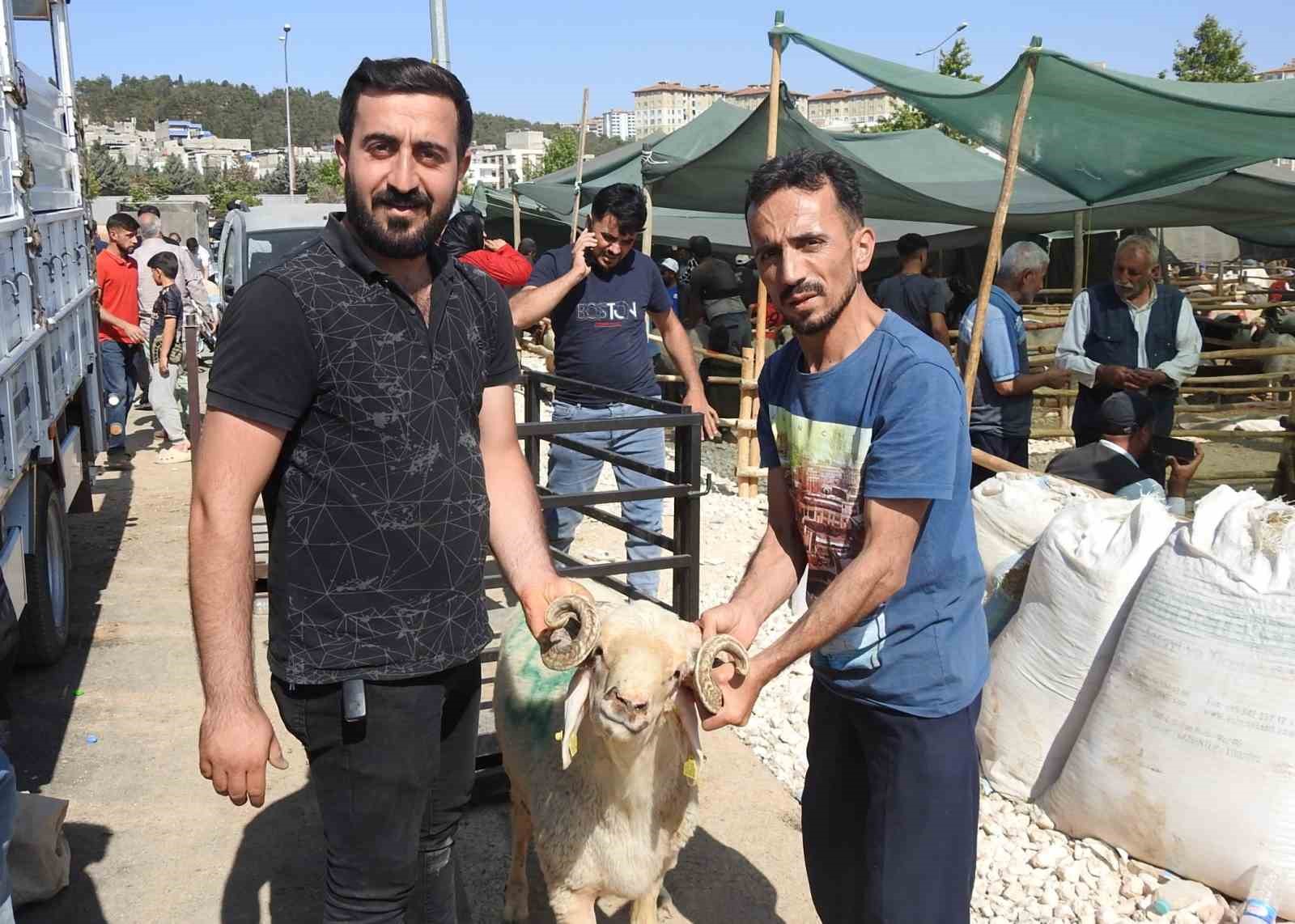 Kurban Bayramı’nın ilk günü hayvan pazarları dolup taştı